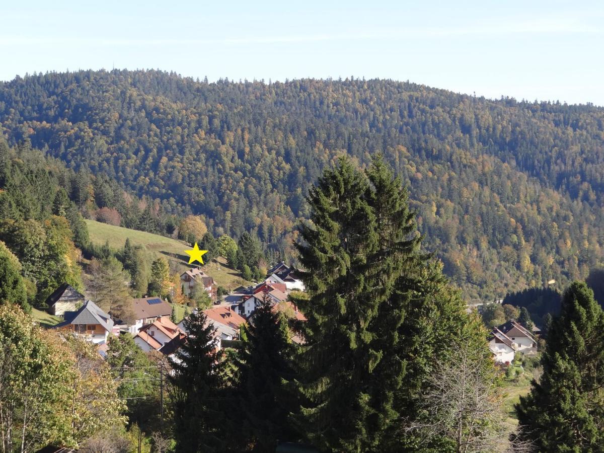Apartments Amalia - Mit Wlan Und Sky In Traumhafter Lage Todtmoos Exterior foto