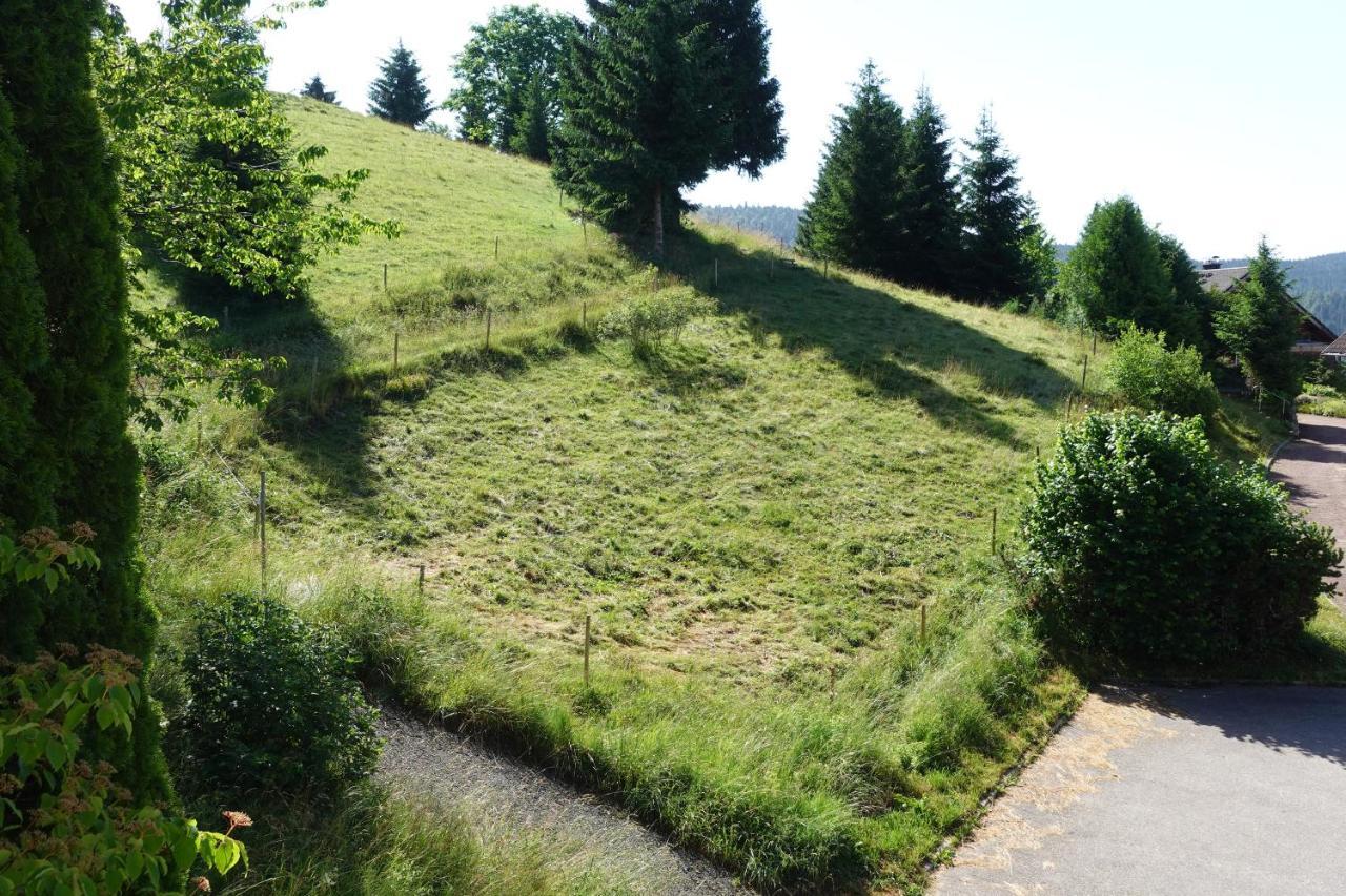 Apartments Amalia - Mit Wlan Und Sky In Traumhafter Lage Todtmoos Exterior foto