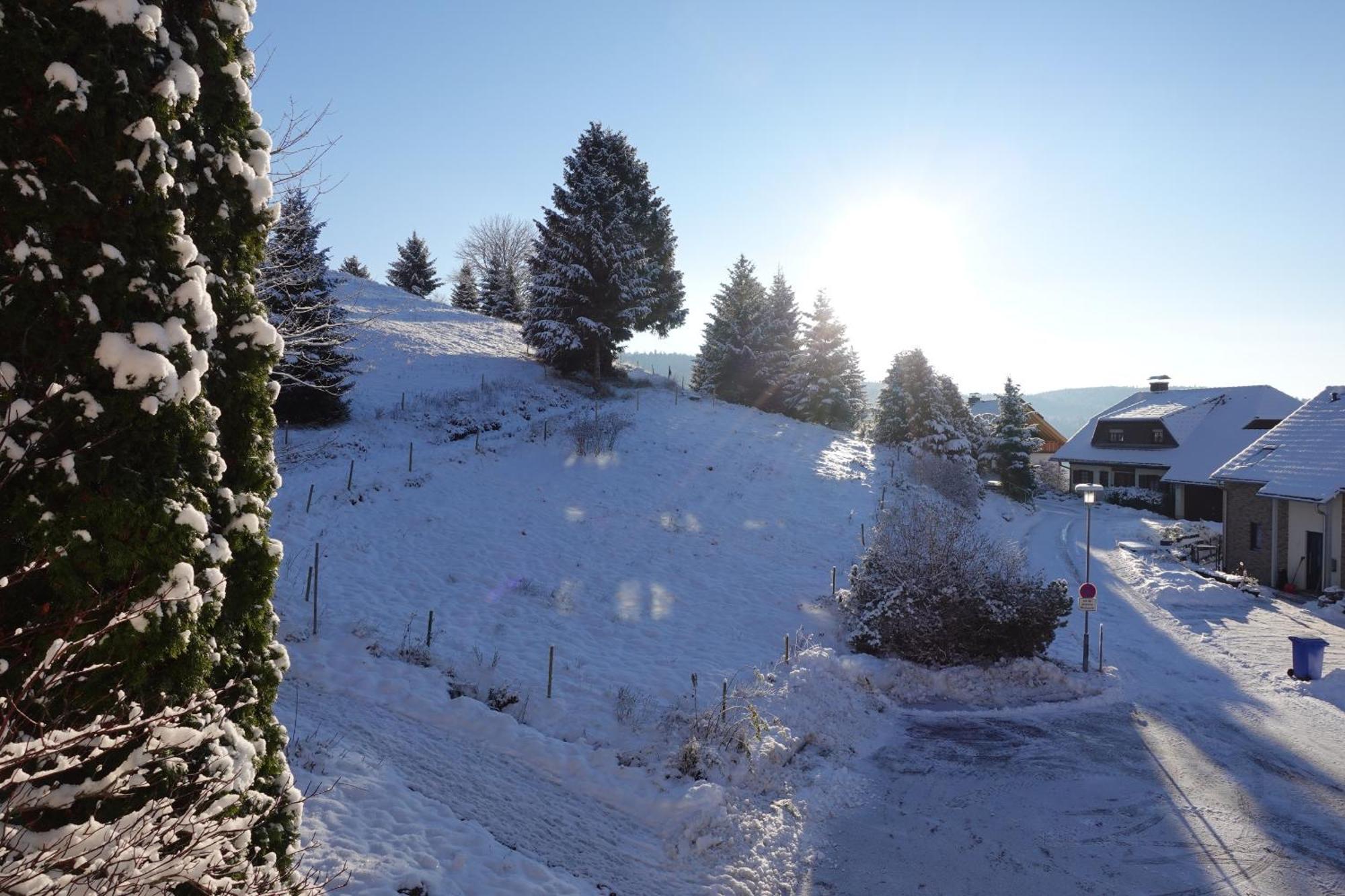 Apartments Amalia - Mit Wlan Und Sky In Traumhafter Lage Todtmoos Quarto foto